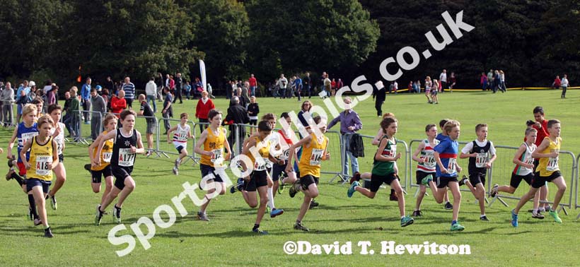 Start of the under-13 boys Northern Cross Country Relays, Graves Park, Sheffield.